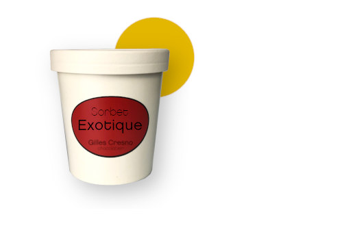 pot_ouvert_exotique_couleur glace sorbet artisanale