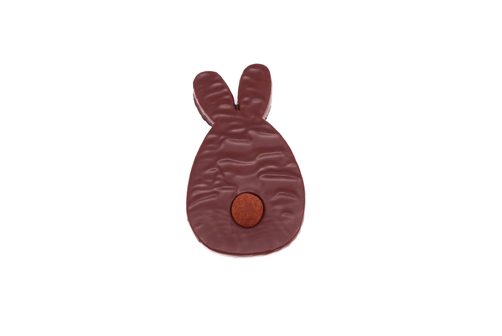 Lapin-mini-noir-30ko
