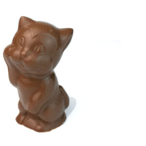 Chaton noir ou lait – Image 1