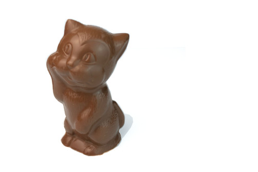 Chaton noir ou lait